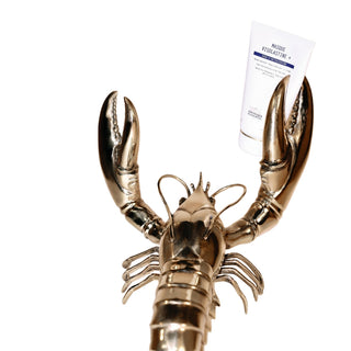 Biologique Recherche Masque Visolastine Plus