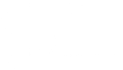 Skin Vault